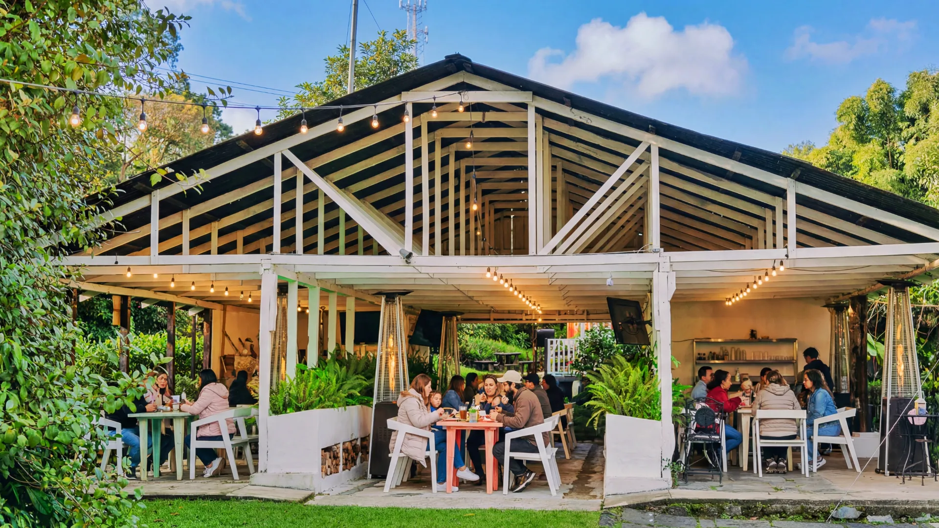 Postal de Luciérnaga